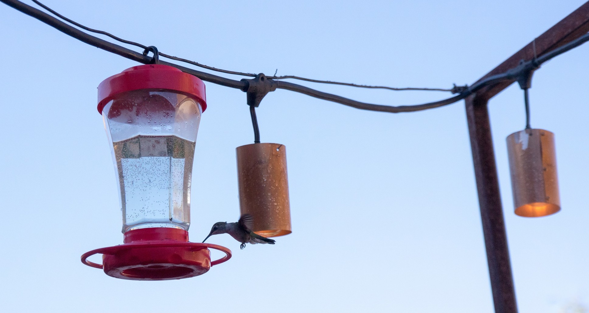 20180703 (83) - copie